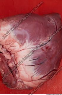 Photo Textures of RAW Pork Viscera